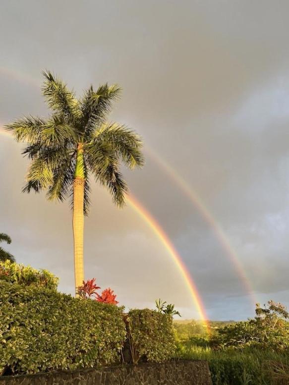 Newly Renovated Condo With Sup Paddle Boards And Golf Clubs Included Kailua Kültér fotó